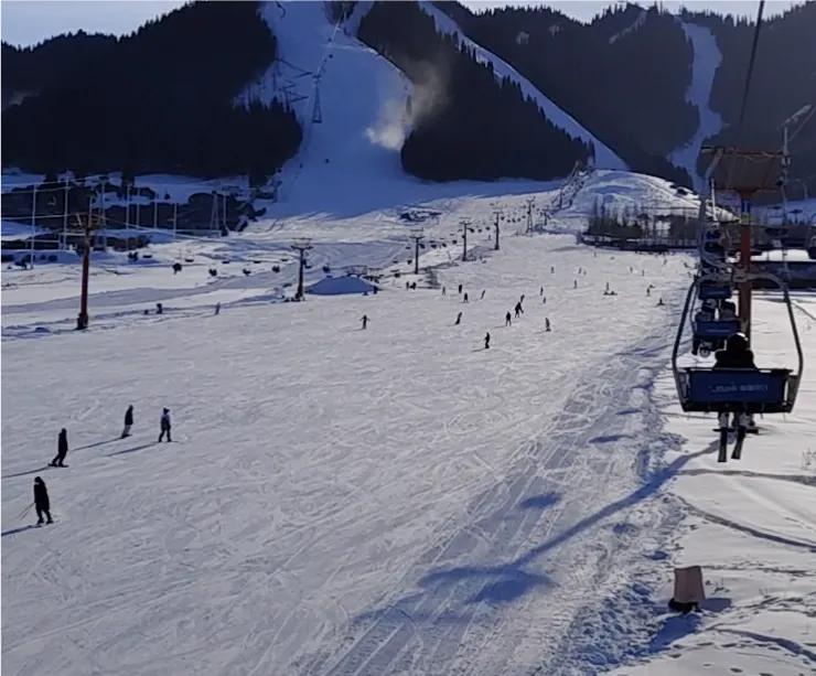 双板自由式滑雪,滑雪的技巧及方法