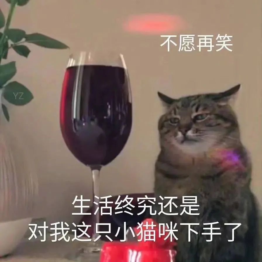 花1.4万吃了顿午饭后，全国人民都知道我了哈哈哈哈