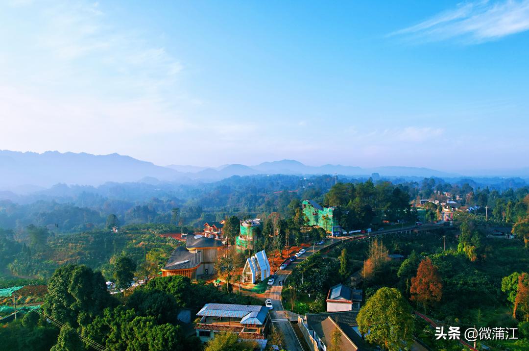 蒲江绿色生态屏障,蒲江县森林资源保护