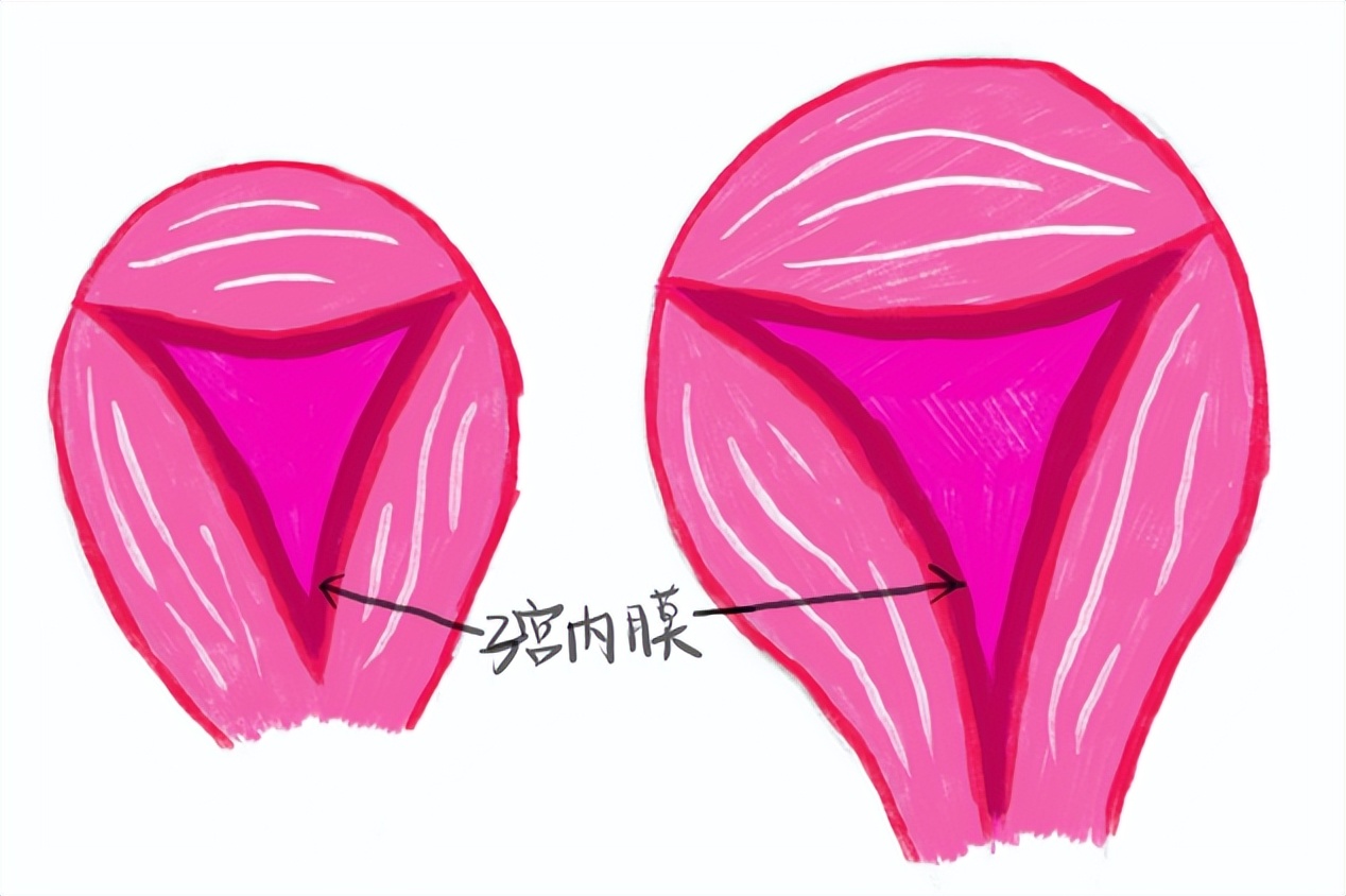 水手环的功效和作用,小小的环是怎么避孕的