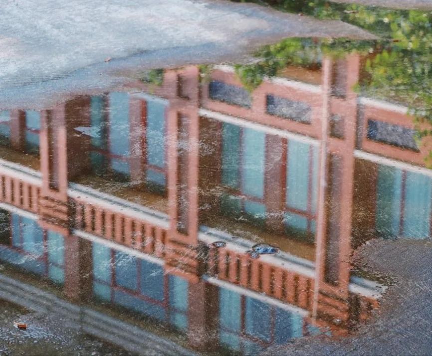 南方医科大学强势学科,最新权威大学排名南方医科大学