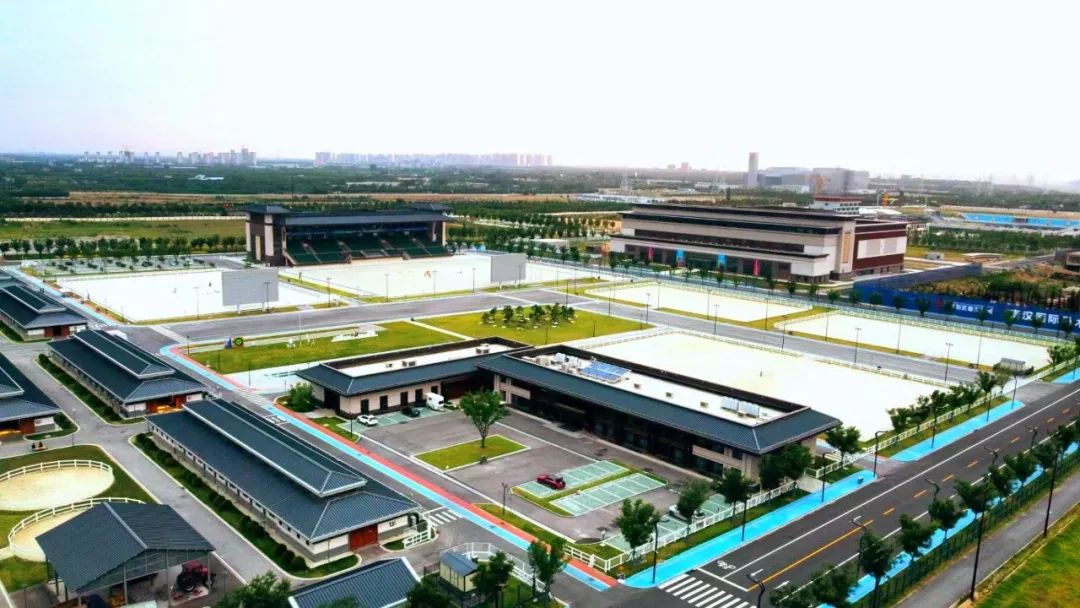 马术夏令营山东,马术夏令营深圳7天