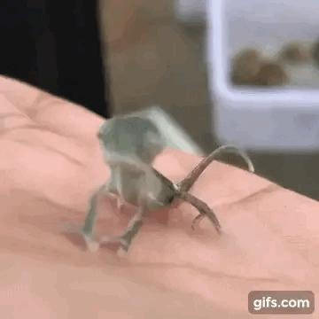 老婆不知去哪买的这衣服，刚进家门就给我吓了一身汗，好尴尬