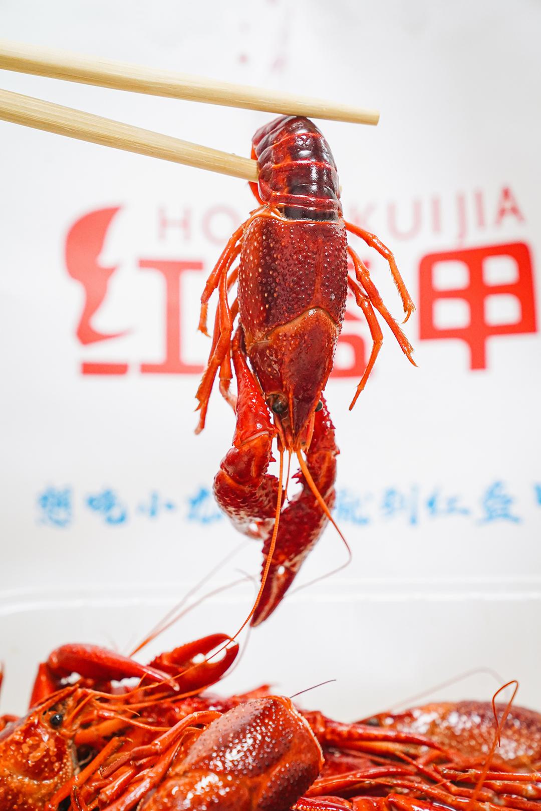 外卖界的奥斯卡,外卖界奥斯卡