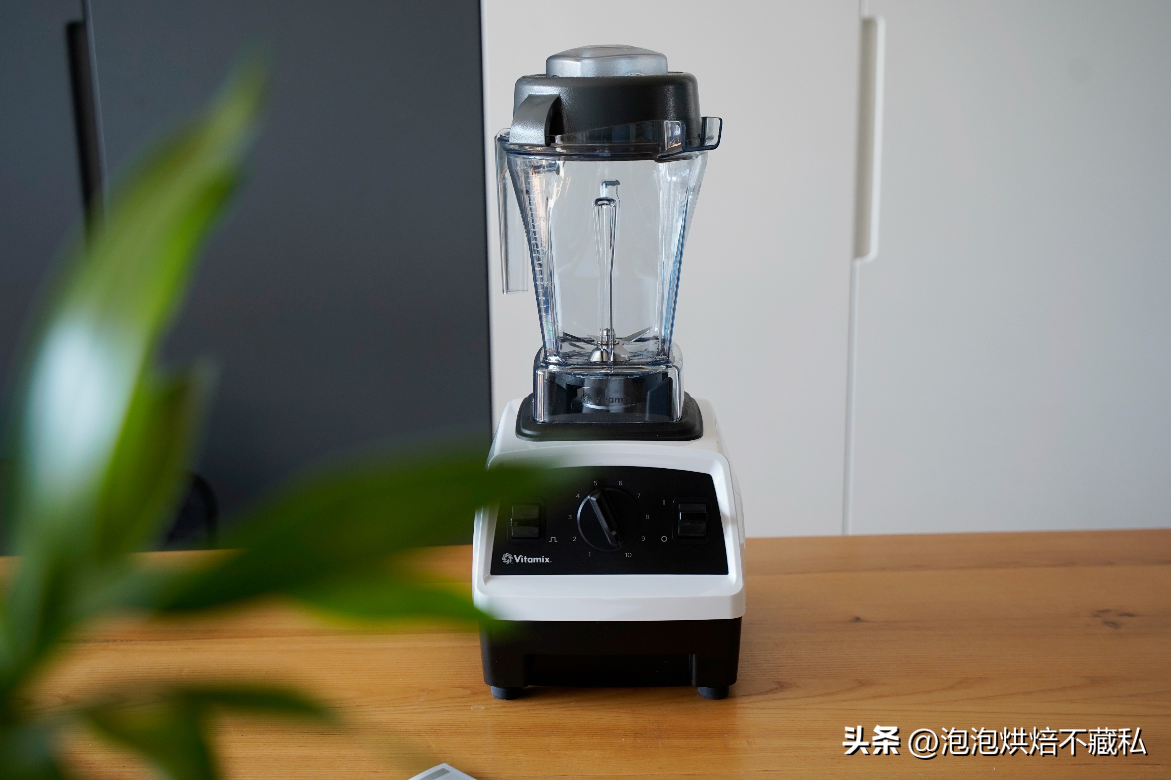 vitamixe320破壁机优缺点,维他密斯破壁机e320评测