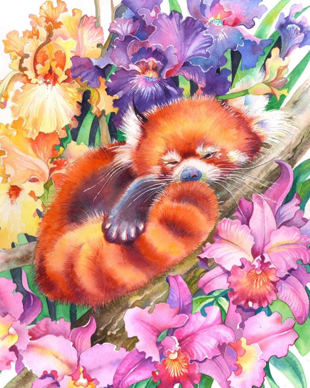 大神级水彩作品看完肯定不后悔,40张笔触狂放的水彩