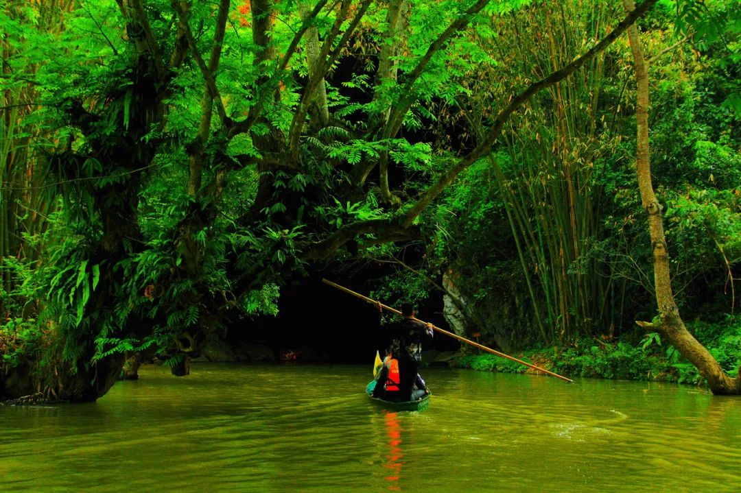三八妇女节值得纪念的日子,一年一度的三八妇女节即将到来