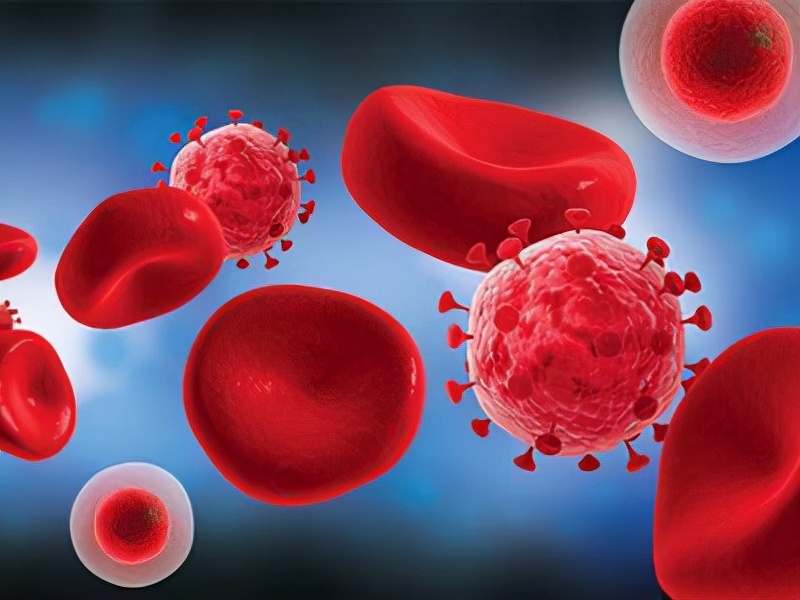 红肉和白肉哪个营养高有什么区别,红肉与白肉有什么区别