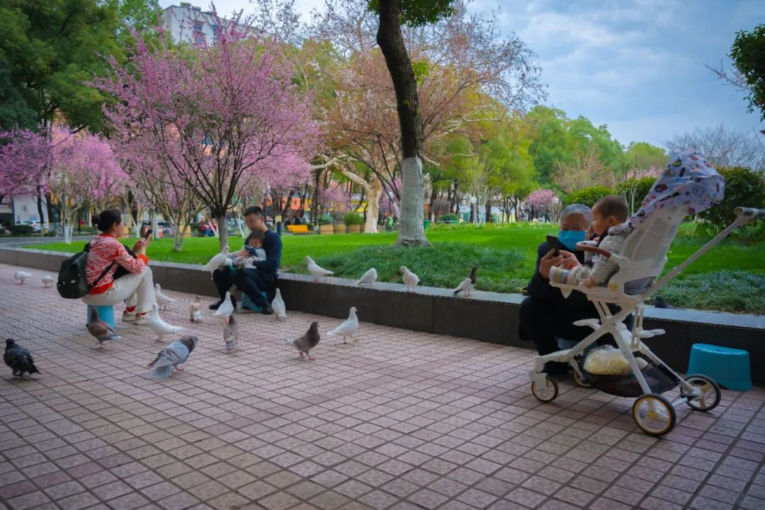 宜昌汉正街,这里曾经是繁华的商业街