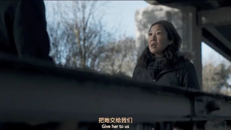 苦等两年，这CP终于回归，磕死我了