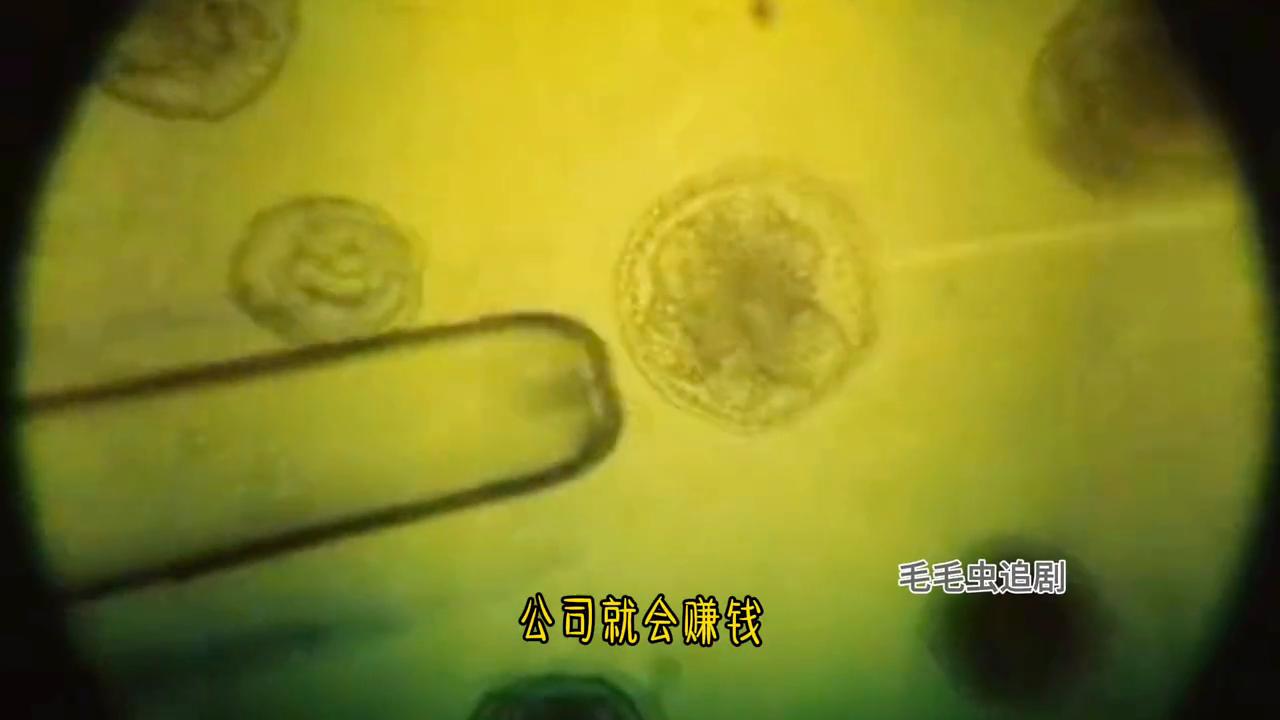 铁线虫入侵从哪里看完整电影,蠕动的虫子