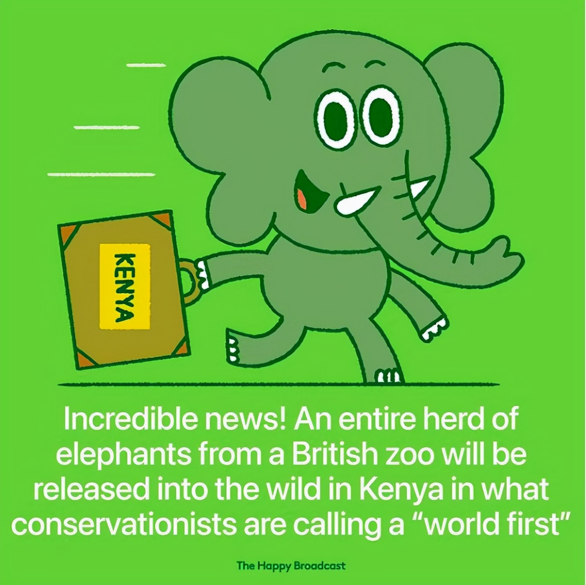 2021年世界各地的40个好消息，在沉重的一年，也能看到一些阳光