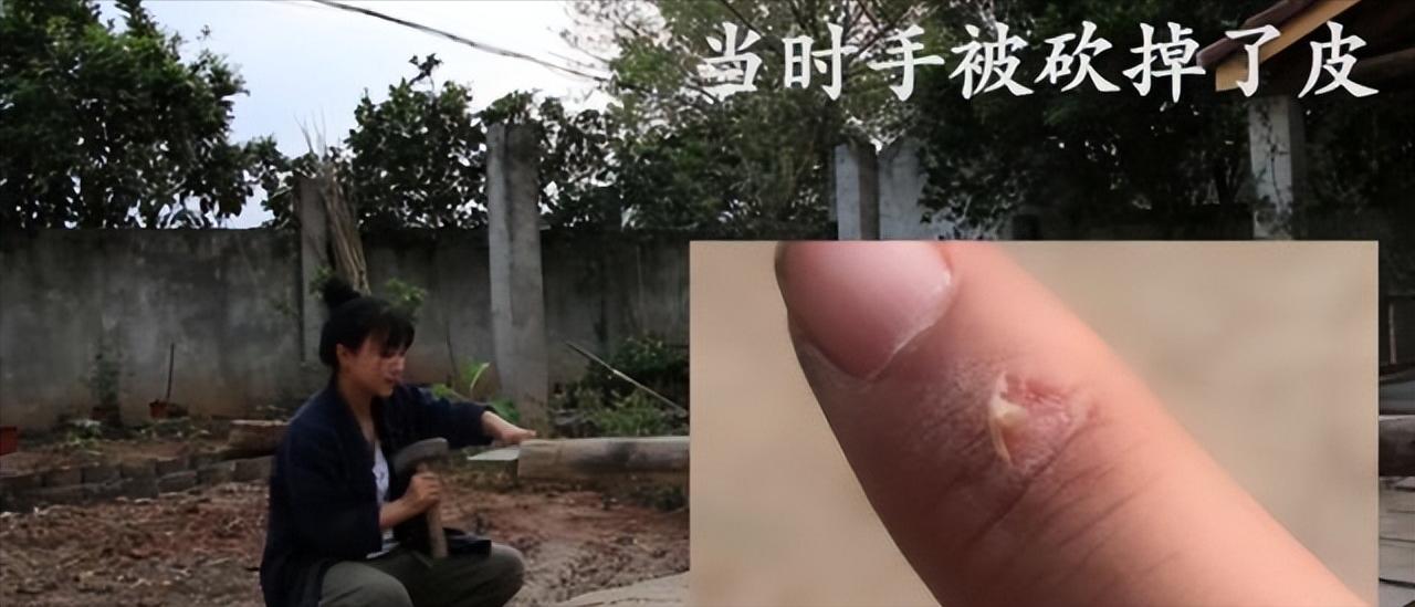 李子柒怎么会有那么大的院子,李子柒隐居山林度过惬意时光