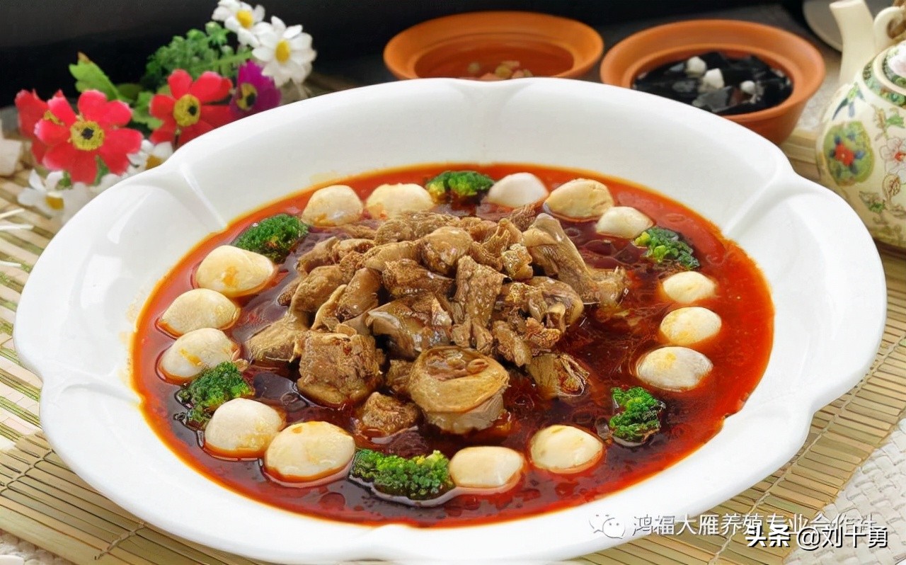 人间美味的动物有哪些,大雁做法和营养价值