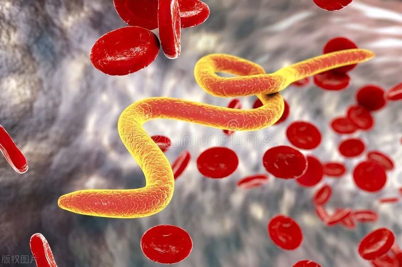 几十年前肚子有蛔虫怎么办,几十年前肚里蛔虫为什么没有了