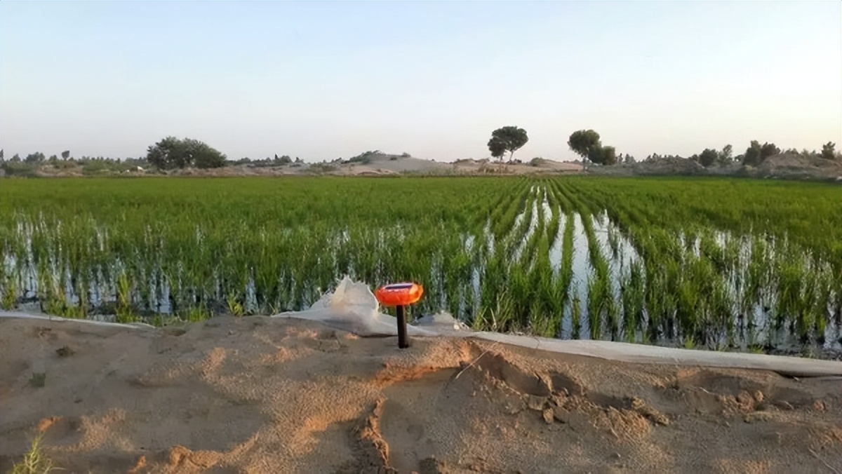 娌欑背浜т笟鍔╁姏涔℃潙鎸叴,娌欑背鍝佺墝