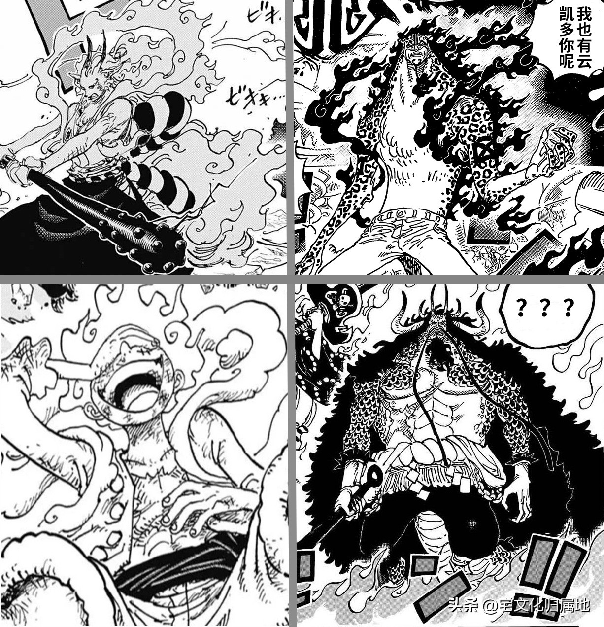 海贼王第1039话情报路飞,海贼王1076话情报路奇