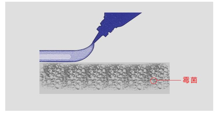 卫生间没有窗户怎么去臭味,卫生间无窗户臭怎么处理