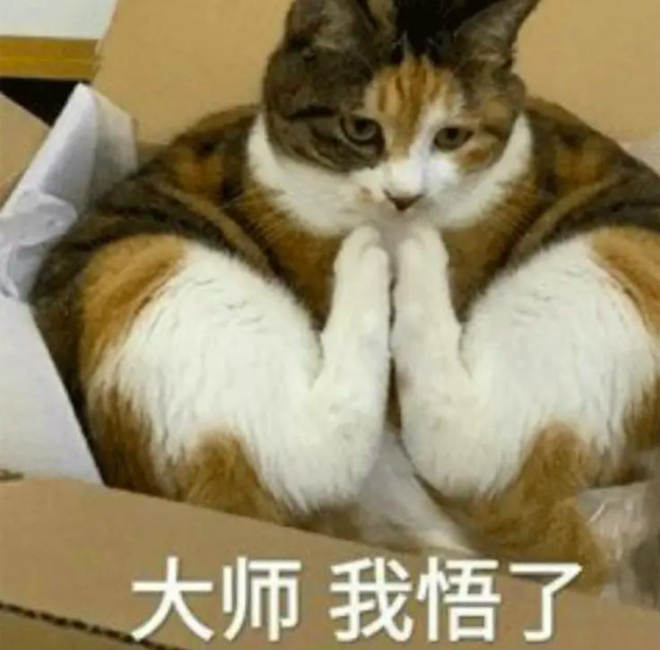 主人阳了，猫咪叼了包华子给他治嗓子，网友：真上道！