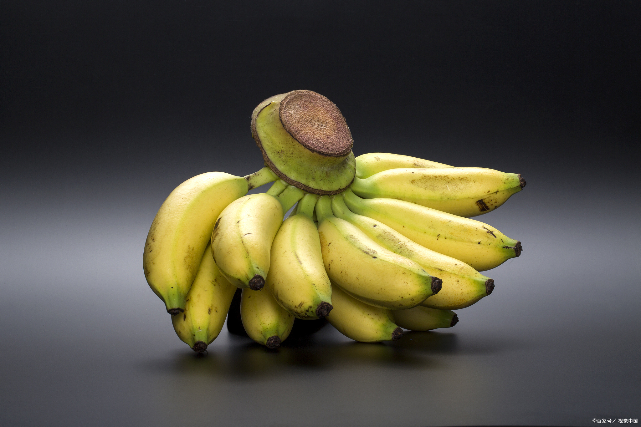 狗狗防癌的最佳方法,想要狗狗健康长寿这些食物少不了