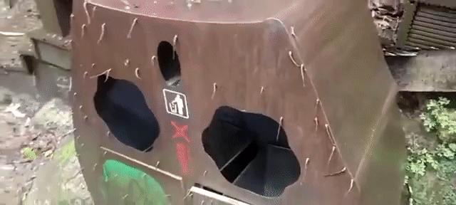 民警巡逻后身上清除蚂蟥,西藏民警巡逻被35只蚂蝗咬伤