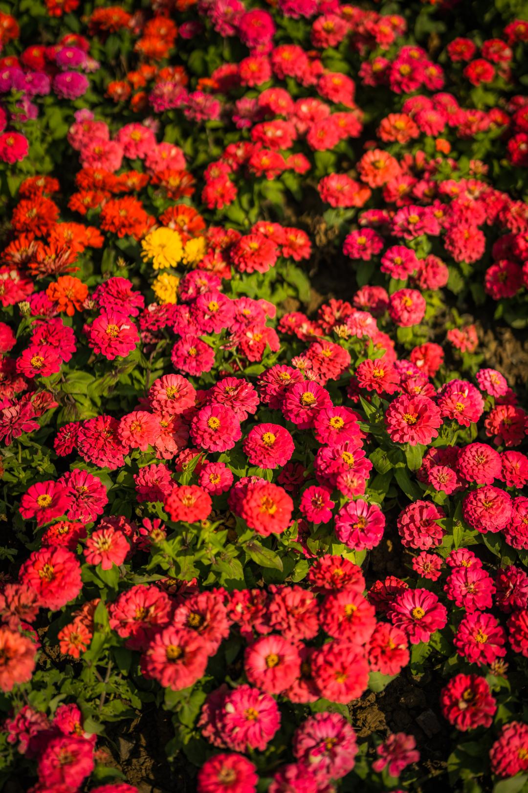 姹夐槼瑙ｉ攣鎵嬫満瀵嗙爜璐圭敤,姹夐槼鑺辫矾