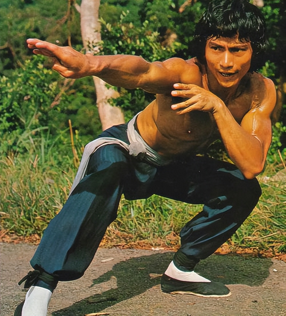 武打演员哪个最厉害,武打明星南拳王