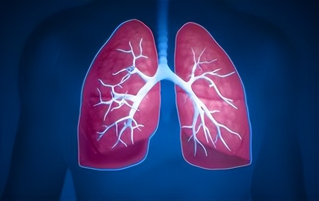 嗓子里总有痰，痰多吐不完，平胃丸搭配一物，化老痰顽痰黄白痰！