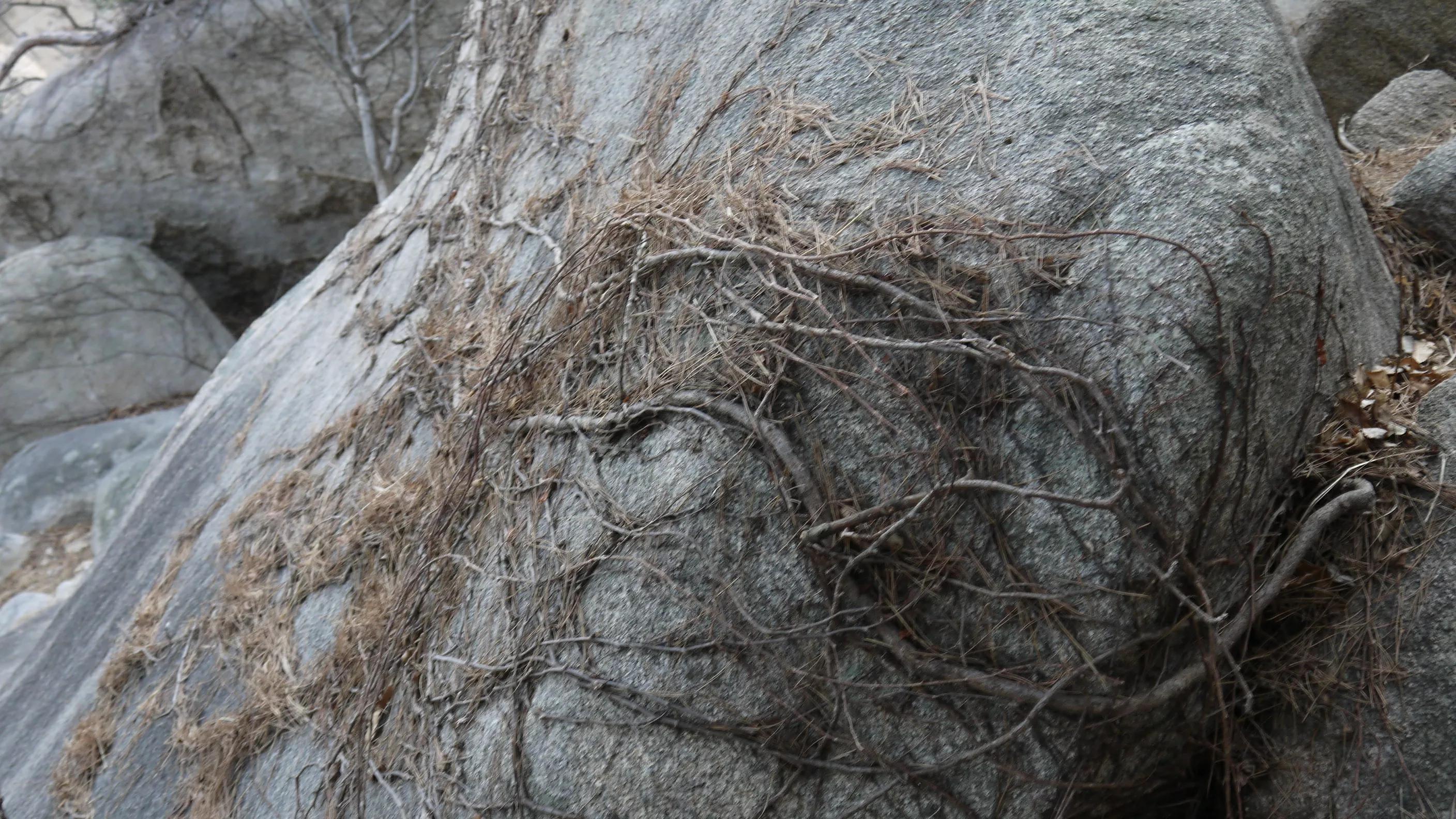 闈掑矝宕傚北浠板彛绱㈤亾,闈掑矝宕傚北浠板彛璧舵捣