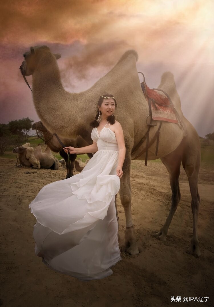 国际摄影协会创作基地草甘沙漠IPA辽宁摄影作品展示（第一期）