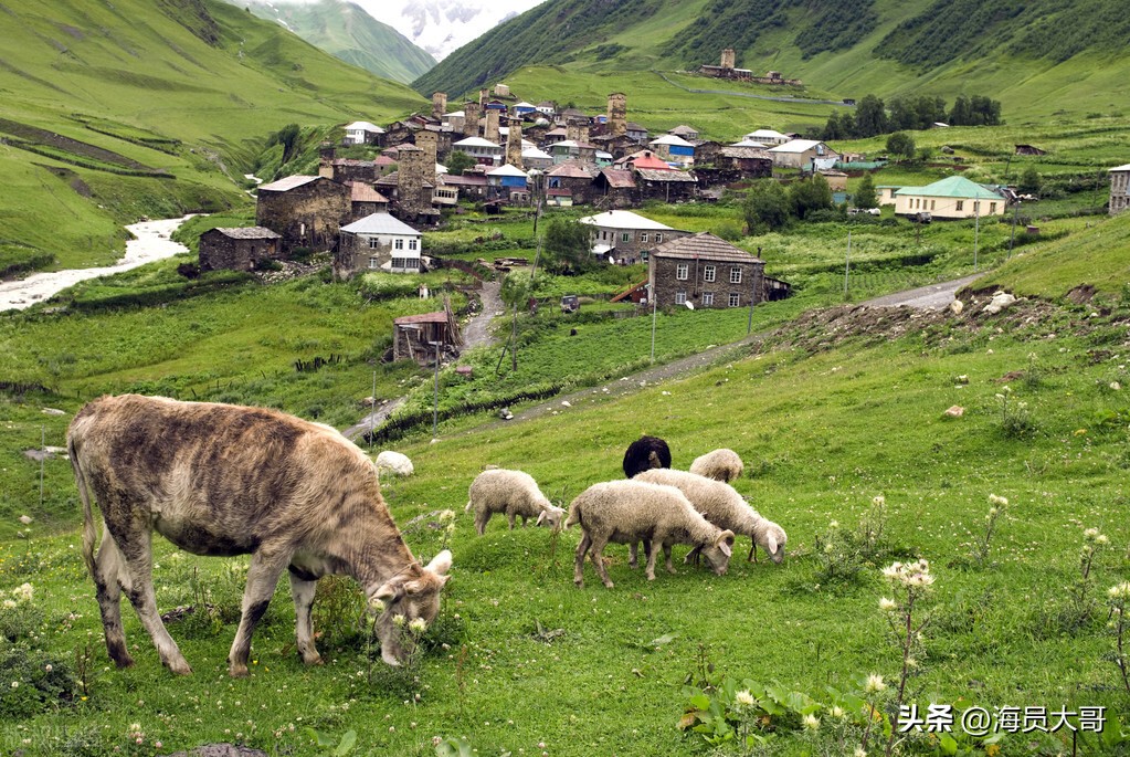 退休去西班牙养老靠谱吗,退休后去格鲁吉亚养老可行吗