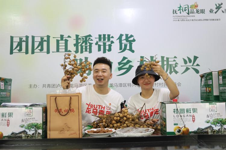 互联网电商直播带货发展规划,互联网农产品直播营销方案