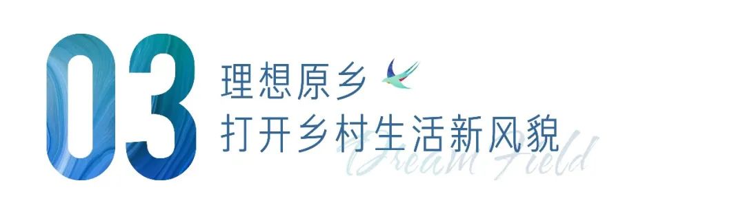 多利桃花源有机农庄,多利桃花源旅行