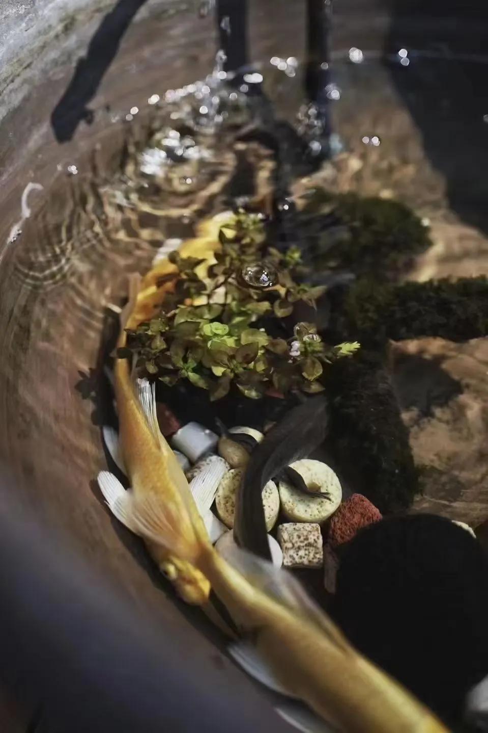 二十一点三四是什么意思,二十一点