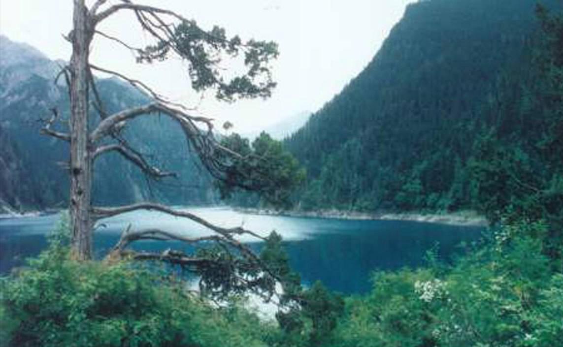 四川九寨沟五天自驾游,四川九寨沟旅游攻略5天4夜跟团游