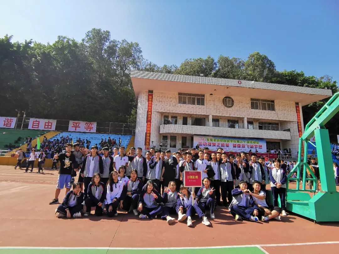 这个学期我有哪些收获,这个学期我经历了什么