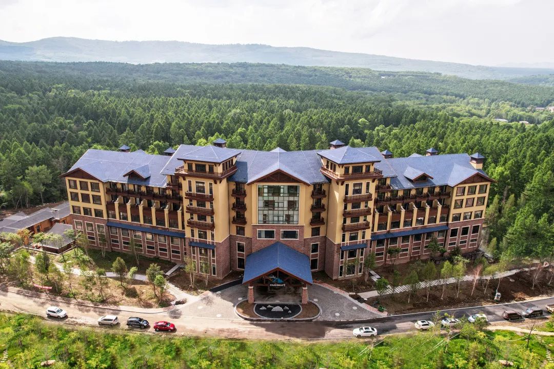 失控玩家2完整版,失控玩家游戏攻略