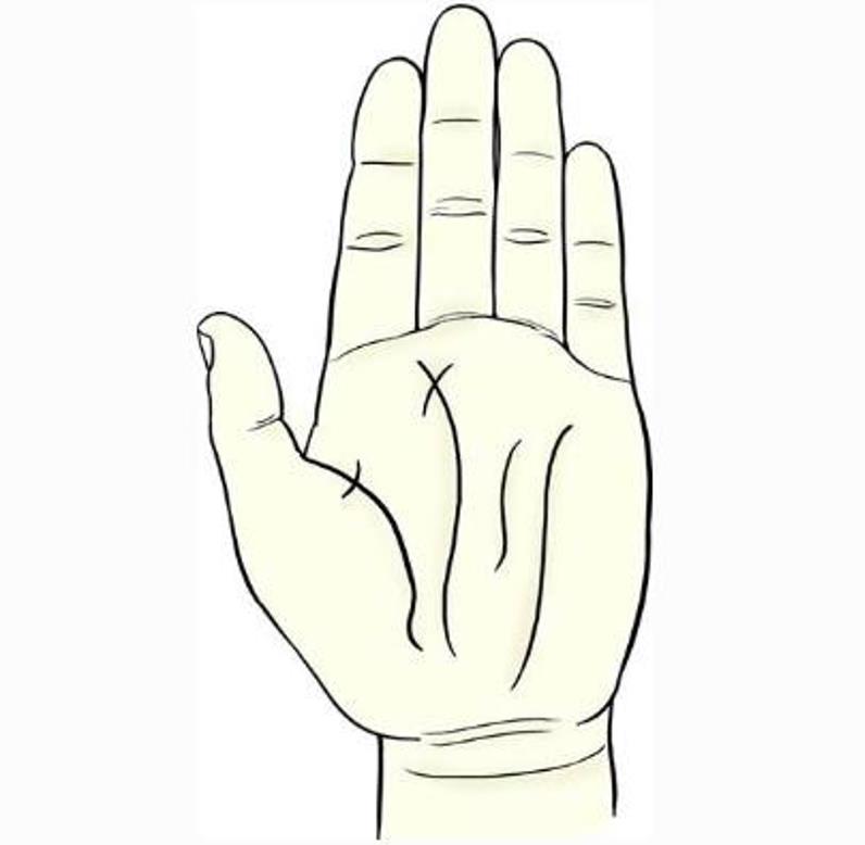 掌中四直什么意思,掌中四直是什么意思