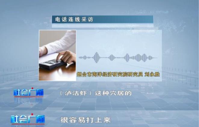 鲜活泸沽虾,泸沽虾淡水