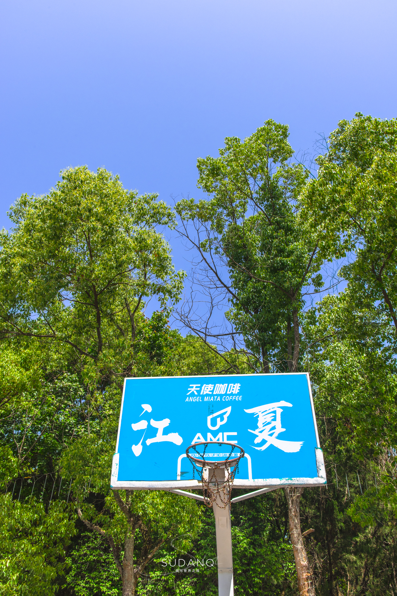 武汉历史上最悠久的地方,武汉历史底蕴