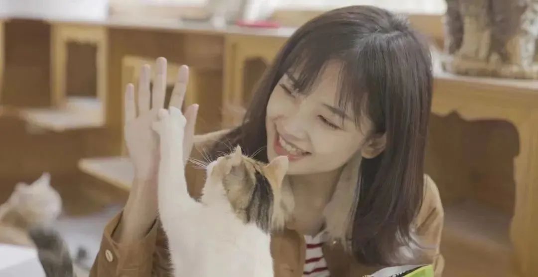 老婆王冰冰,王冰冰是单亲妈妈吗