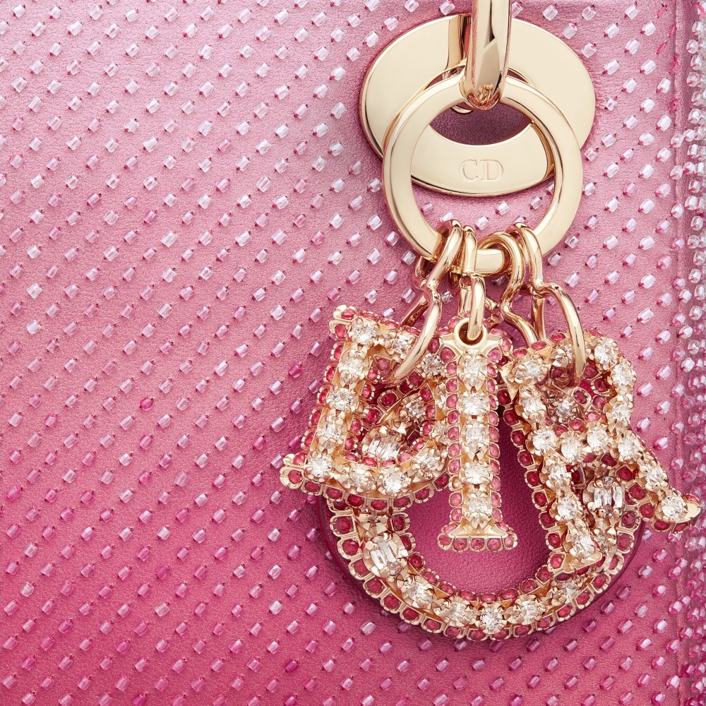 Dior刺绣包包,dior刺绣豹纹戴妃包