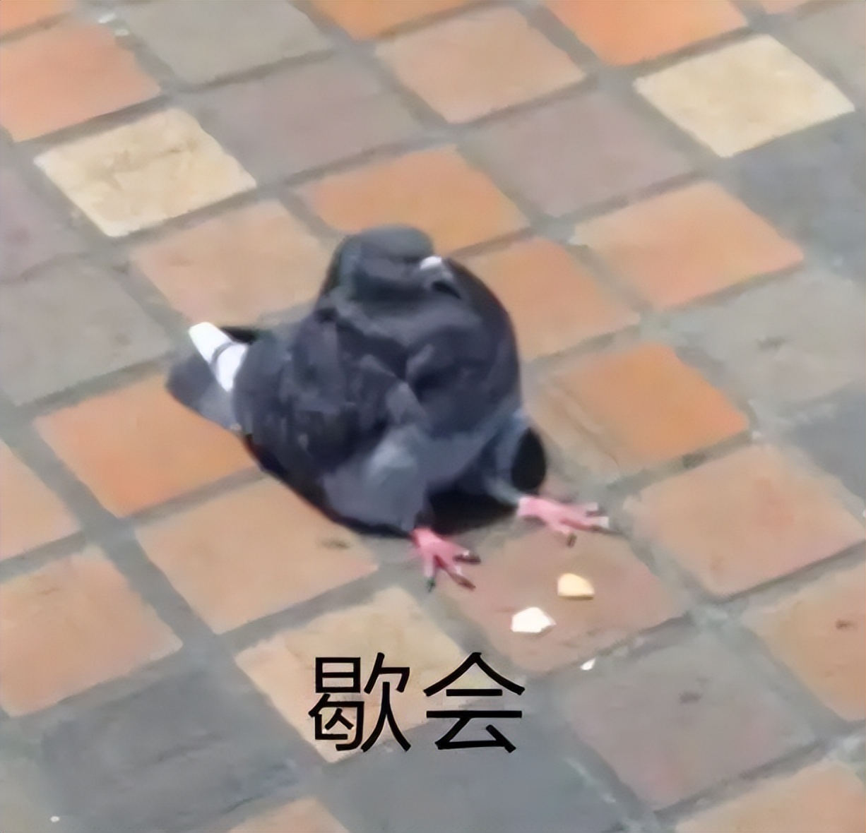 口袋奇兵角色怎么删除不了,口袋奇兵个人信息