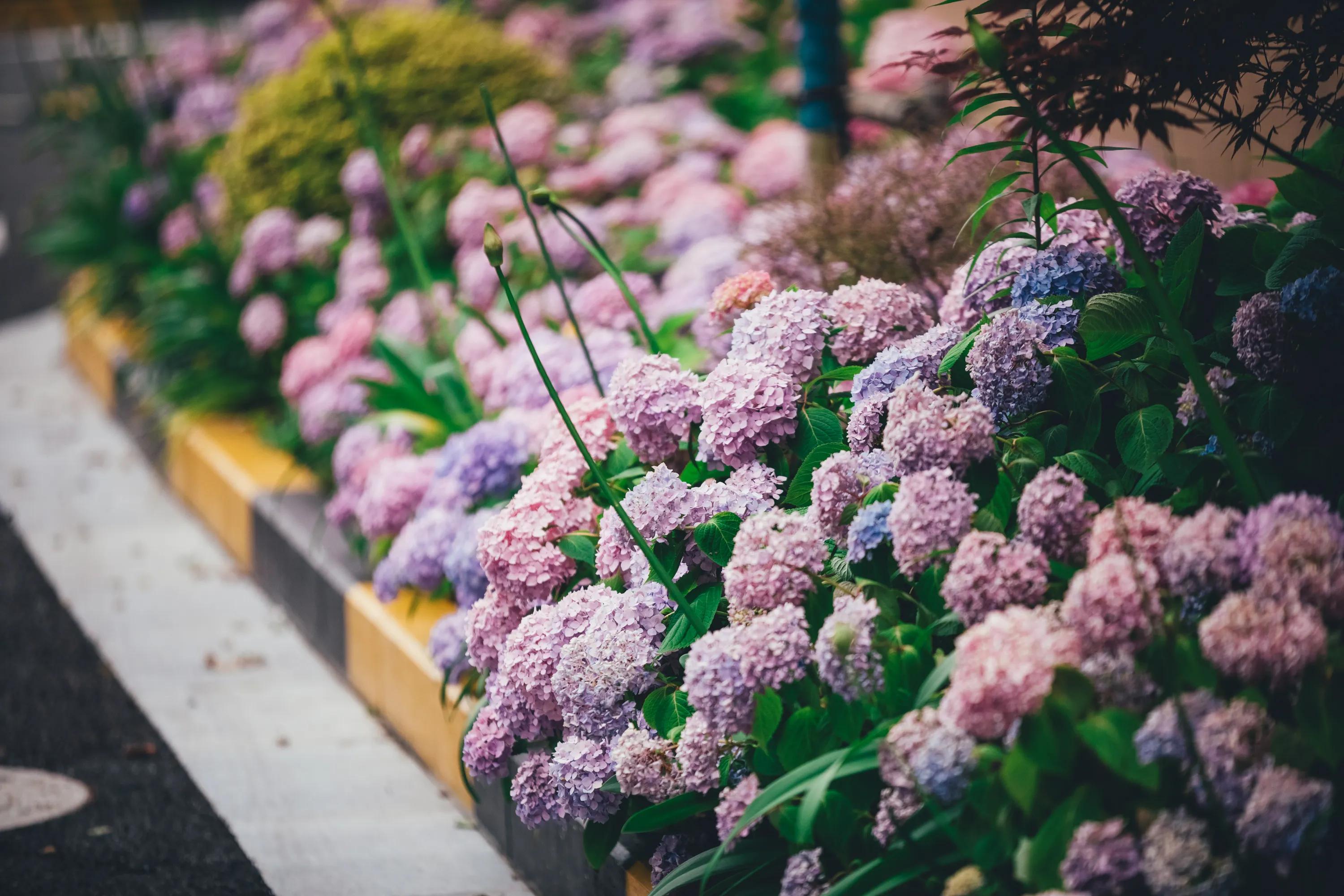 5.30号是什么日子,5.30号什么日子