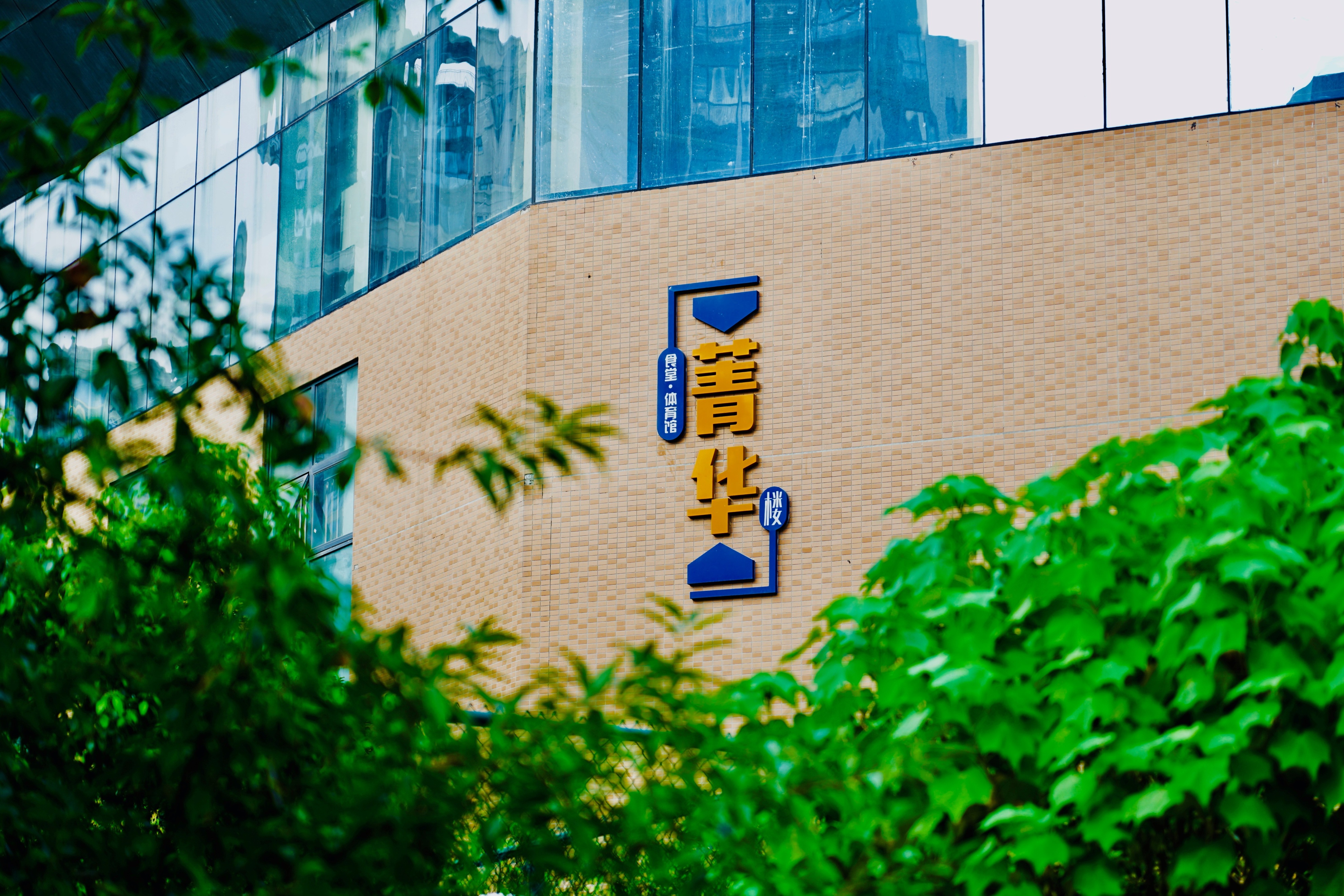 投入2个亿提档升级，新华学校未来可期！