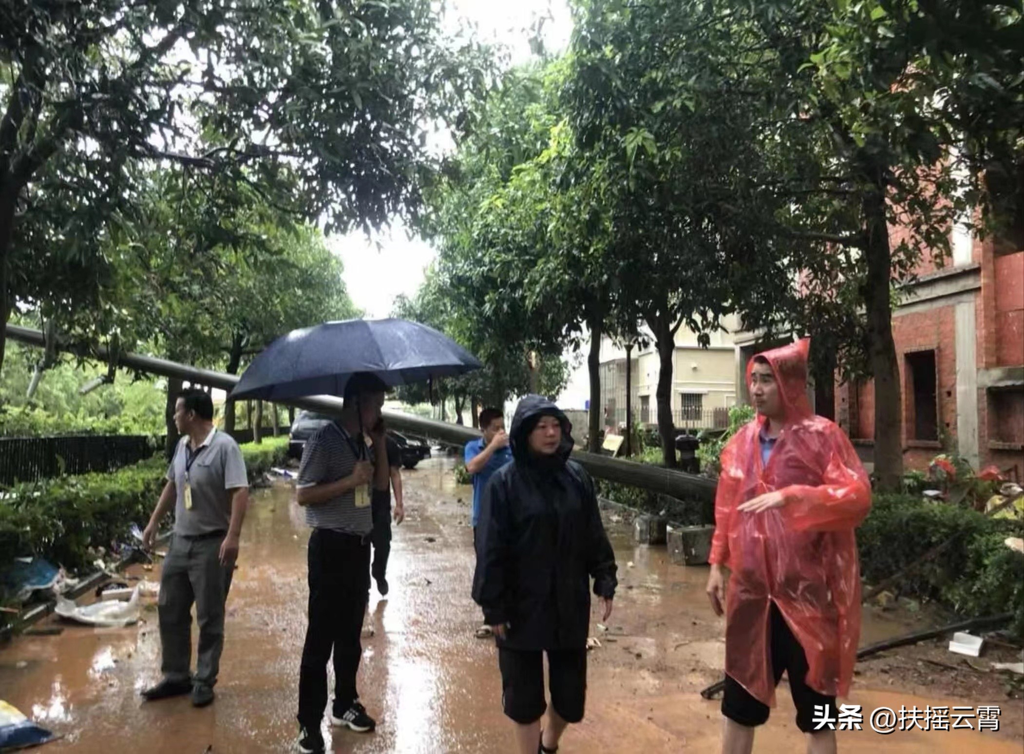 志愿者李天辉及队友：热心邻里公益如春风，大事小情无私抢着干