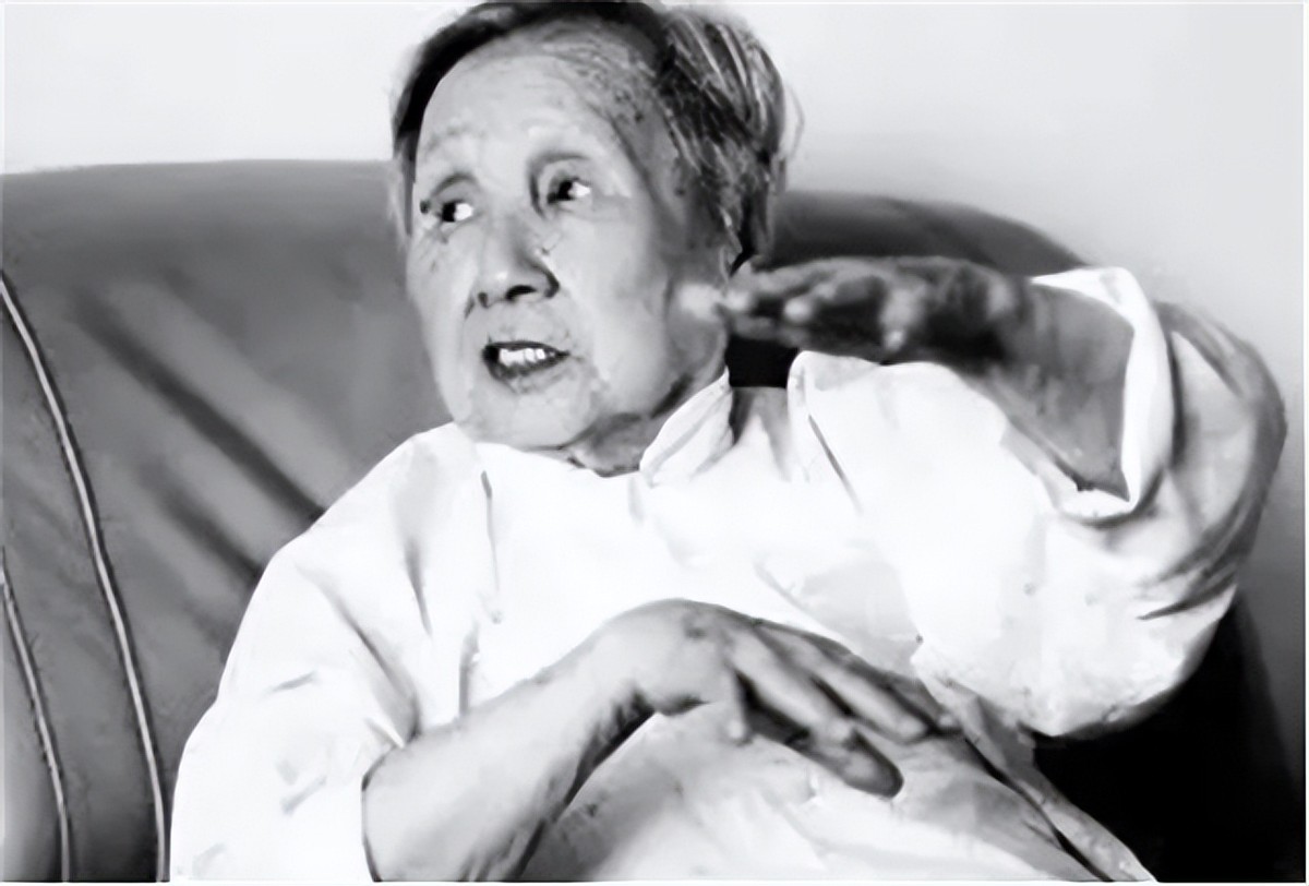 1997年重庆老妇访问朝鲜，祭拜金日成后，提出了一个大胆的建议