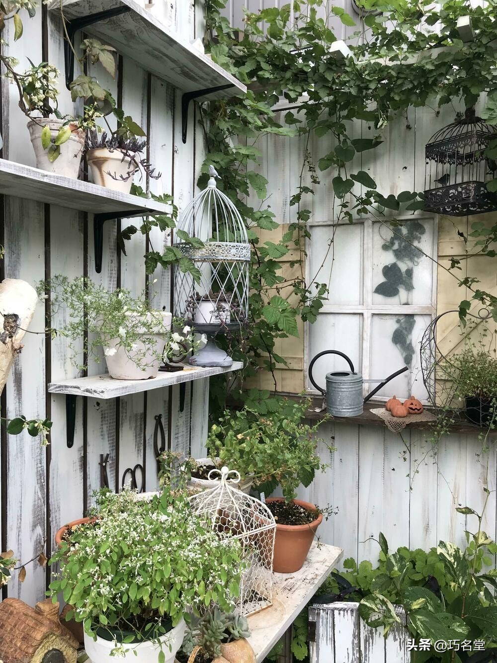 日式杂货花园设计,日式杂货花园