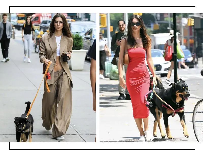 想走维密吗？买个杯子!