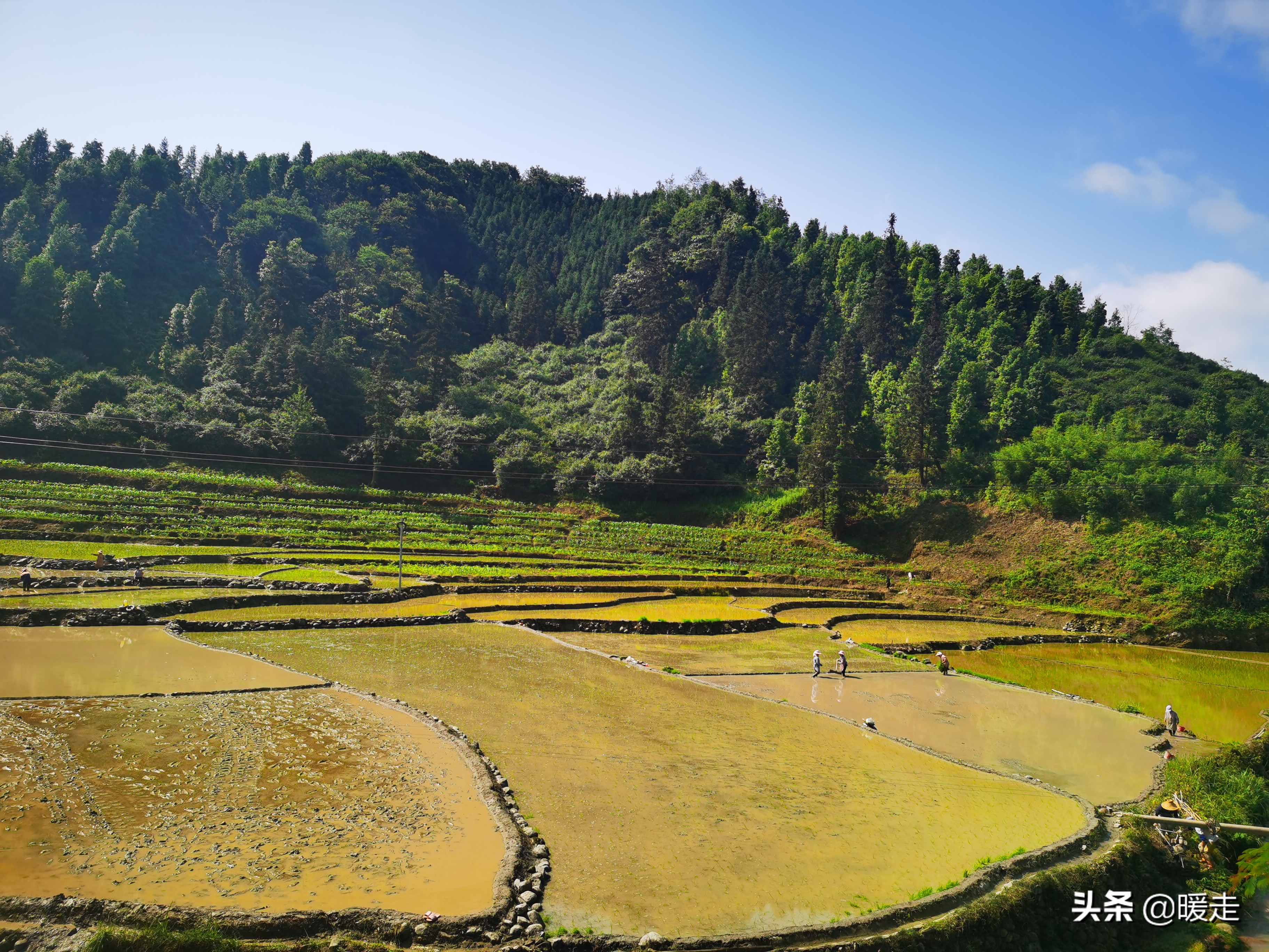 广西农民种田,乡村种田的生活视频